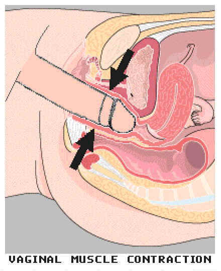 G spot and orgasm