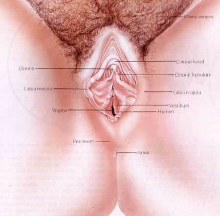 G penetrate spot to how Isolation, characterization